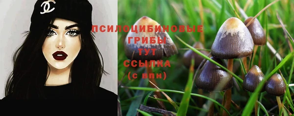 амф Алзамай